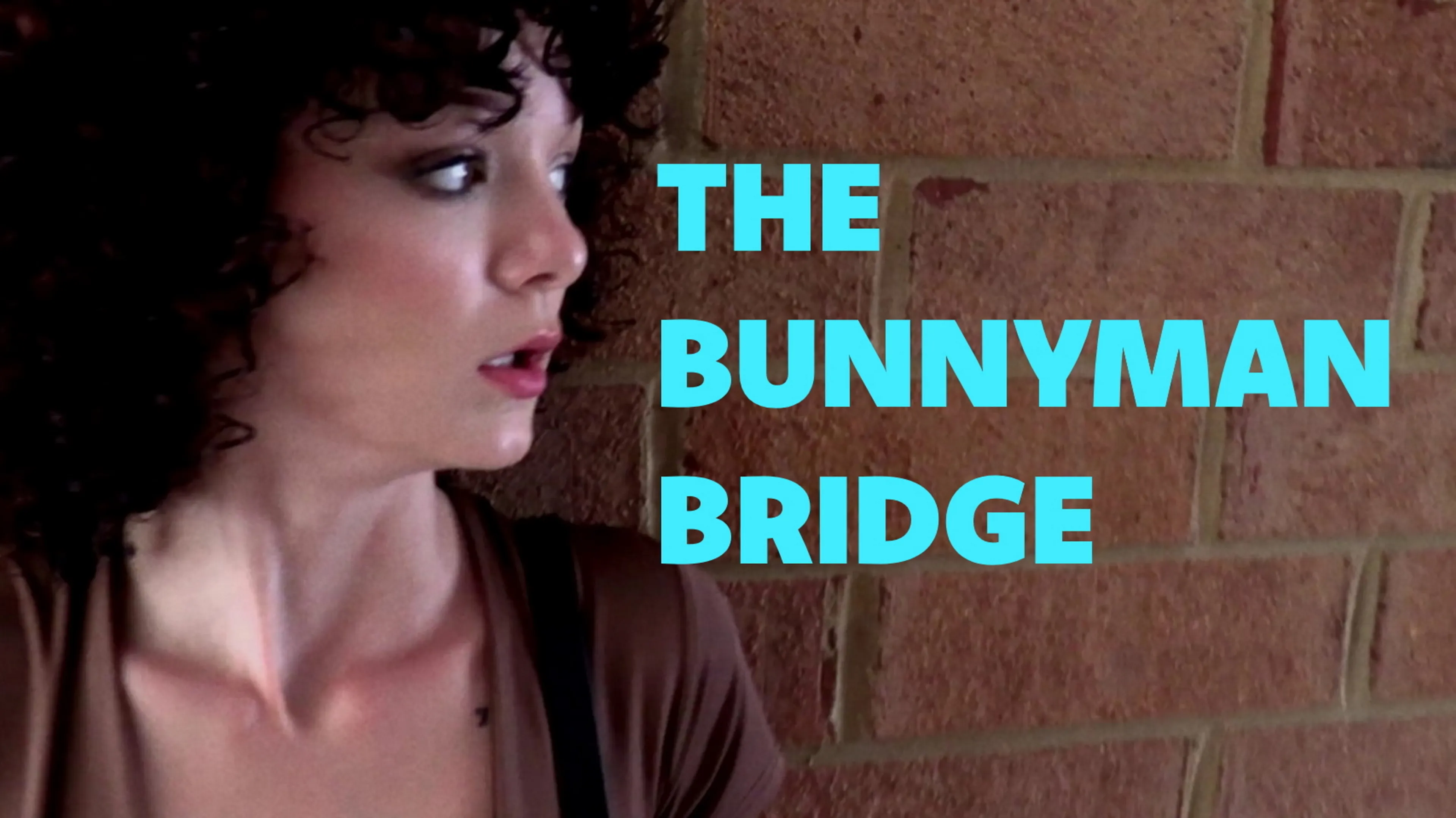 The Bunnyman Bridge poster